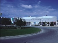ifeja