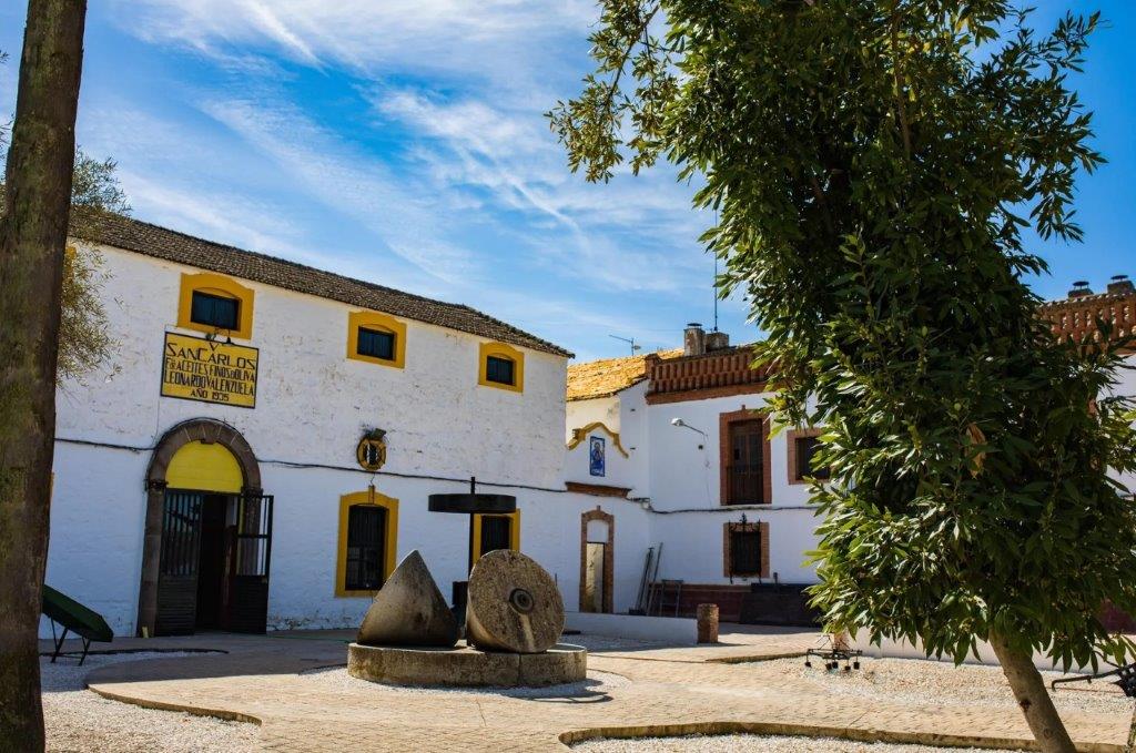 Hacienda Santa María, un nuevo recurso de oleoturismo en Jaén, participará en la próxima edición de Tierra Adentro