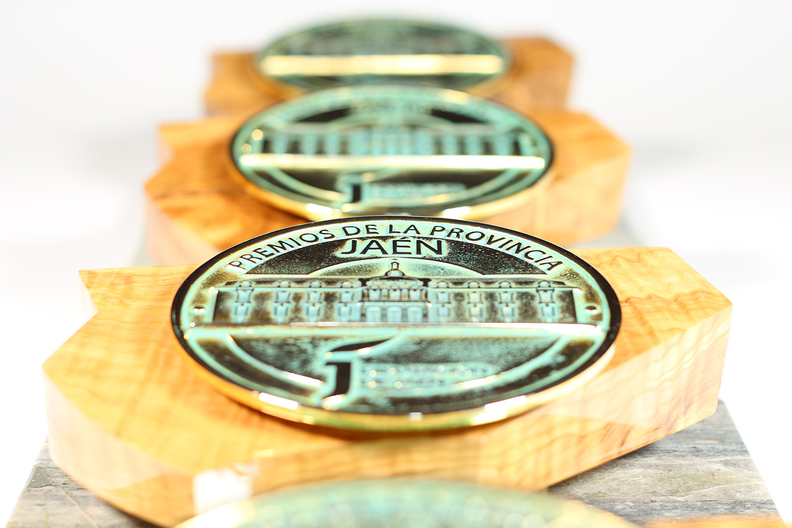 El Ministerio de Defensa, el Cuerpo Nacional de Policía, la ONCE en Jaén y el Orfeón Santo Reino, Premios de la Provincia 2025