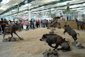 Ibercaza celebra su quinta edición del 16 al 18 de septiembre de 2011