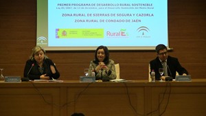 Presentado en Centro de Convenciones de Ifeja el Programa “Andalucía Aviva”