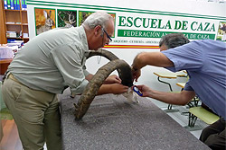 La Provincia de Jaén se convierte en destino turístico cinegético de primer nivel.