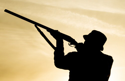 Períodos hábiles de caza de la Orden General de Vedas 2015/16 en Andalucía